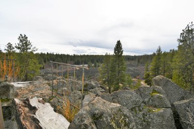 DSC_6878.JPG