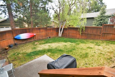 back yard 2.JPG