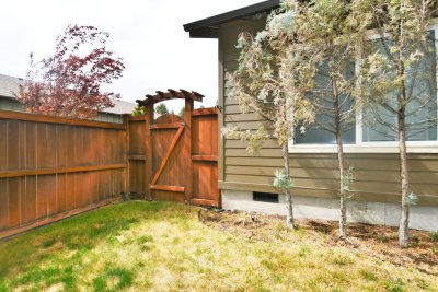 back yard 3.JPG