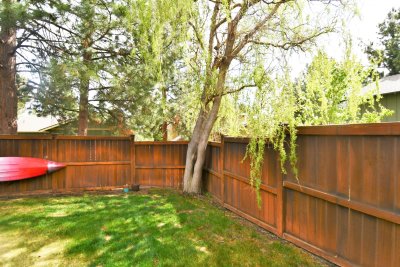 back yard 5.JPG
