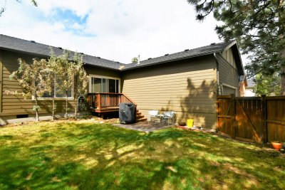back yard 7.JPG