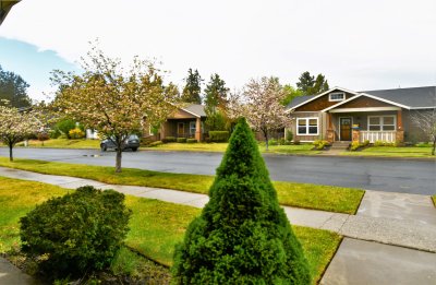 front yard.JPG
