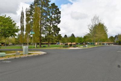park.JPG
