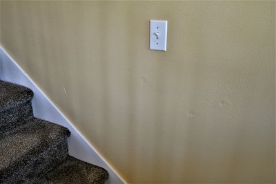 DSC_7359.JPG