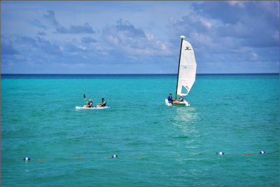 DSC_4318_1.jpg