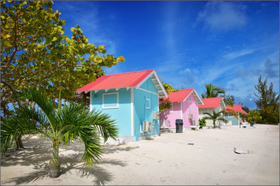 DSC_4371_1.jpg