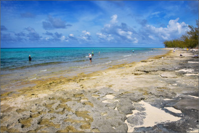 DSC_4384_1.jpg
