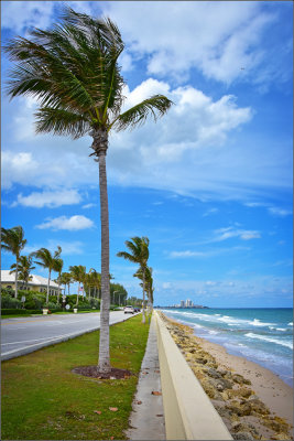 DSC_2789_1.jpg