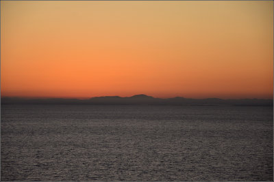 DSC_1988_1.jpg