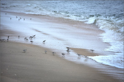 DSC_3251_1.jpg