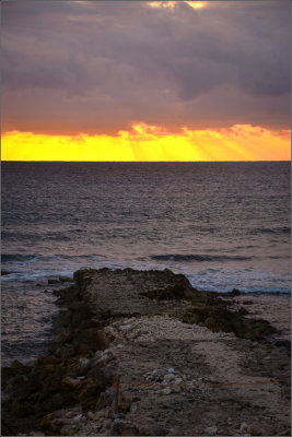 DSC_0609_1.jpg