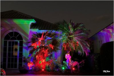 Lights in Florida