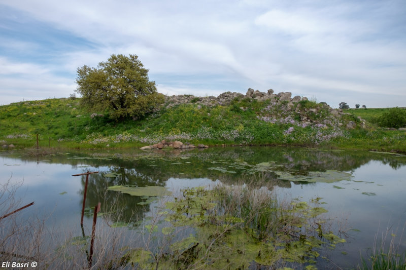 DSCF2082.jpg