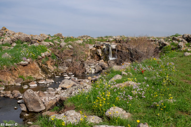 DSCF2049.jpg