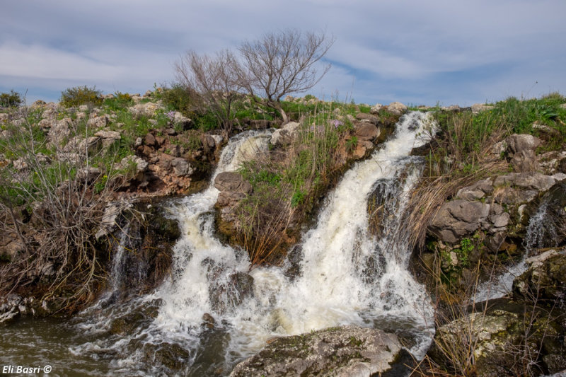 DSCF2033.jpg