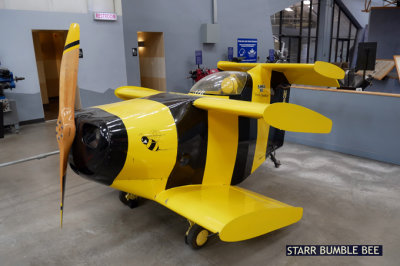 Starr Bumble Bee