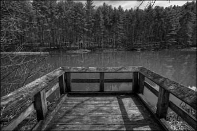 Allen Branch Pond