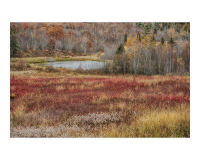 october_2019_trip_to_maine