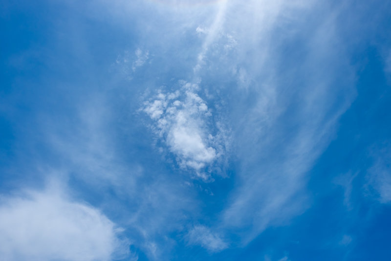 DSCF0606.jpg