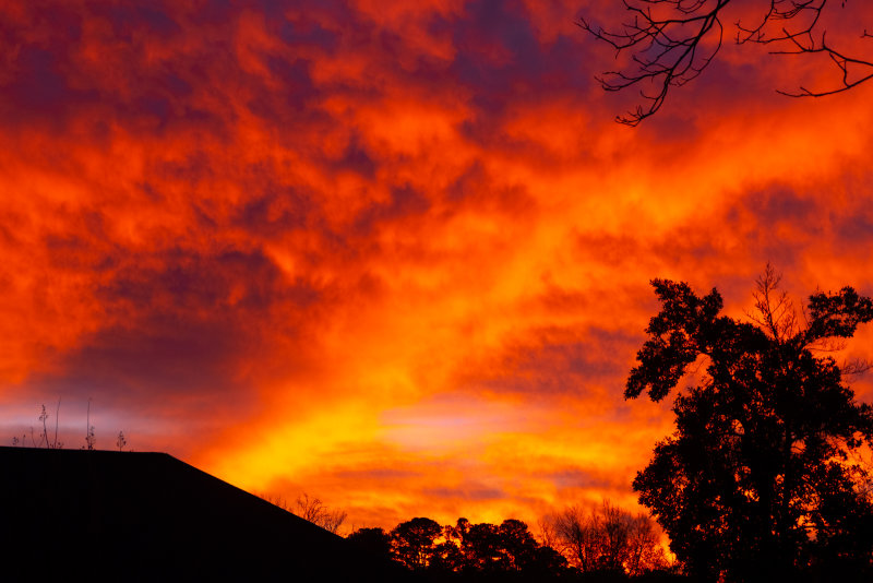 DSCF0988.jpg