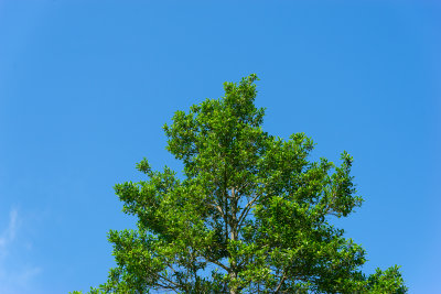 DSC00071.jpg