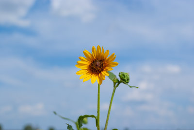 359.jpg