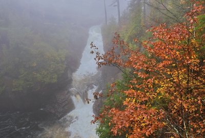g12/75/1012175/3/172380861.DYTYOW2S.jpg