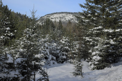 FAIT2_NEW4_DSC1169Aa_Saint-Zenon_Lanaudiere_Qc_PP_Brunet.jpg