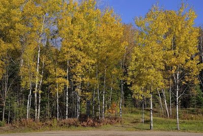 FAIT_NEW4_DSC0137AAA_Parc_des_Pionniers_Saint-Donat_Lanaudiere_Qc_PP_Brunet.jpg