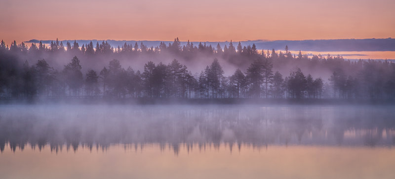 Misty sunrise, Seitseminen National Park
