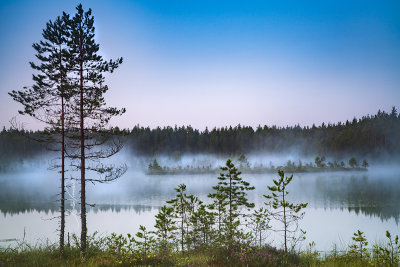 g12/75/1017775/3/169651061.rldhKHve.jpg
