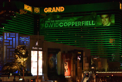 MGM Grand night 1.jpg