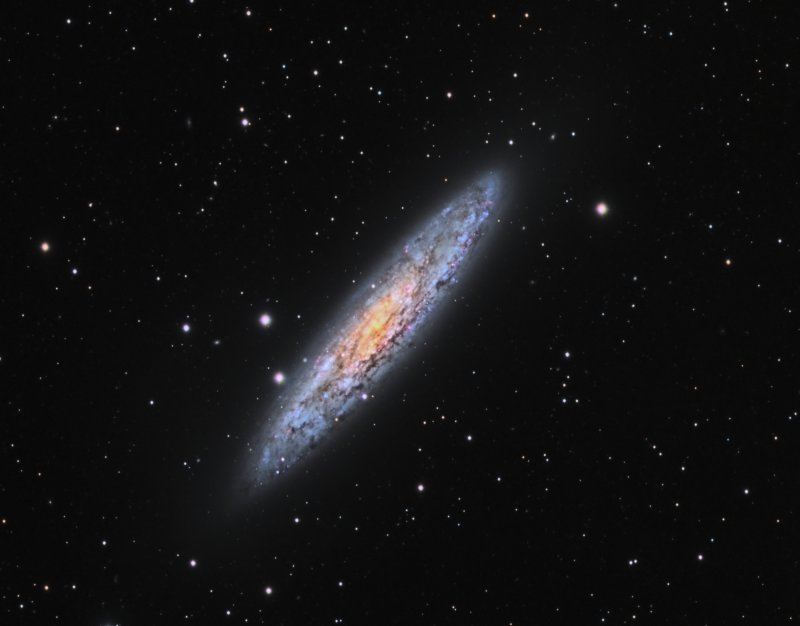 Sculptor Galaxy NGC253