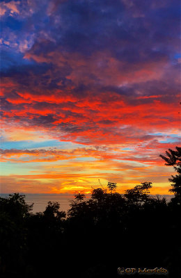 Front Yard Sunset