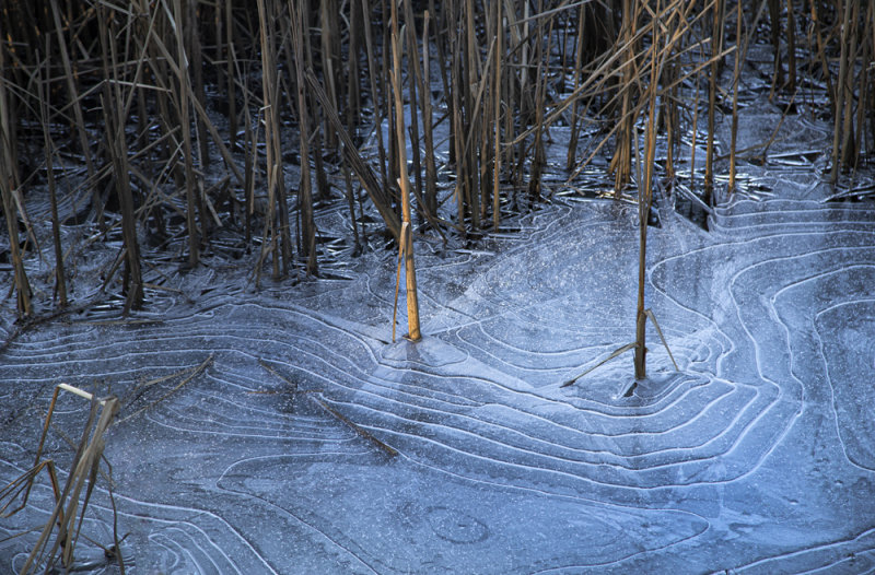 Ice path