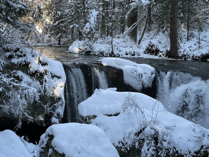 Frozen Wonderland