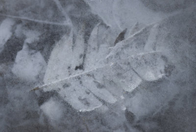 Frozen in time