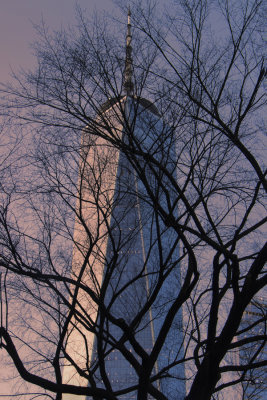 Freedom dresses the skyline