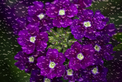 g12/75/283775/3/171279453.vCuhTDD4.jpg