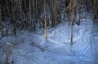 Ice path
