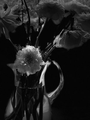 My windowsill at night