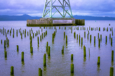 The Bridge and it's subjects