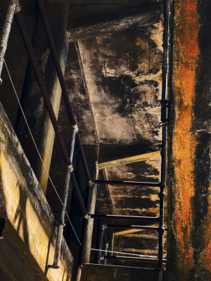Escape ladder