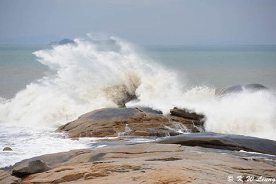 Red Bay DSC_7584
