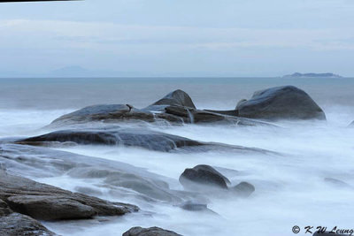 Red Bay DSC_7433