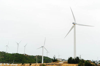 Windmills Island DSC_7658