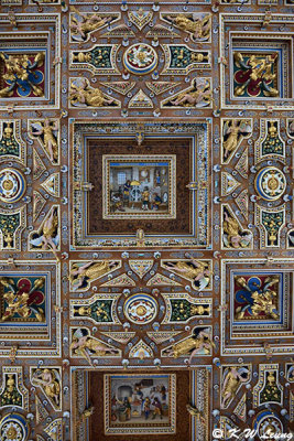 Ceiling DSC_5534