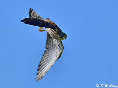 g12/75/35275/3/168554501.SSMaR1yb.jpg