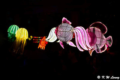 Lanterns DSC_0098