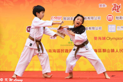 Karate demonstration DSC_9188
